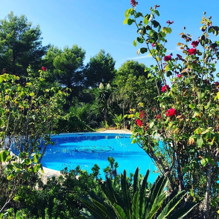 Villa Can Toni Miqueli Santa Gertrudis  Εξωτερικό φωτογραφία