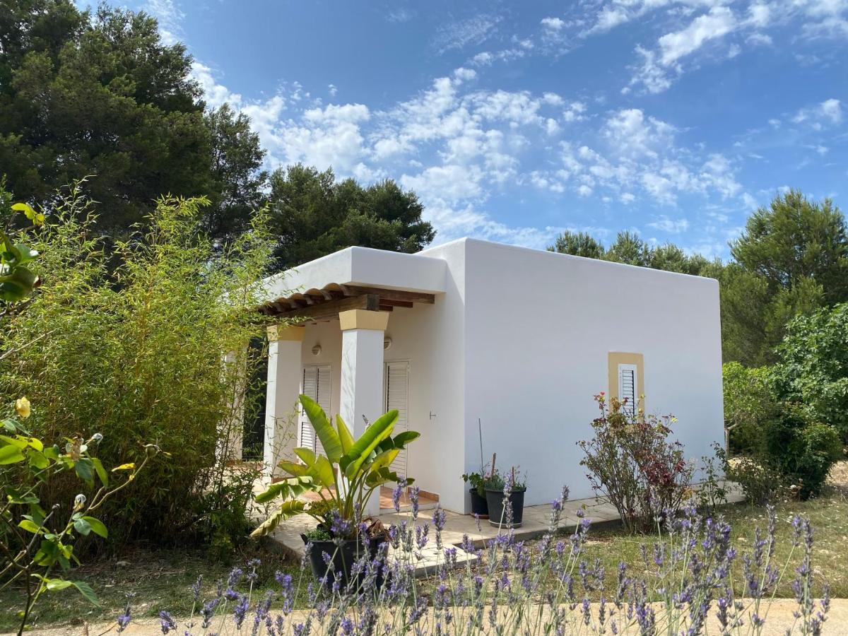 Villa Can Toni Miqueli Santa Gertrudis  Εξωτερικό φωτογραφία